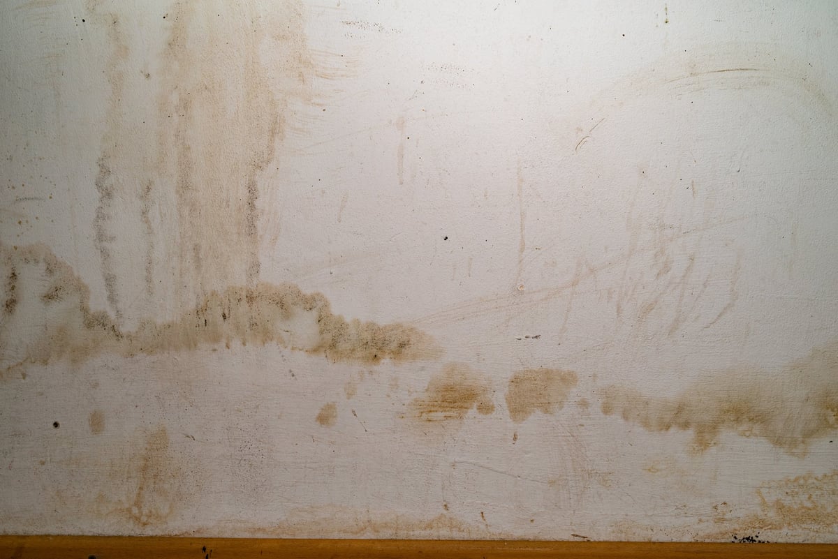 Water damage on interior floor with peeling paint and mildew from flooding or slab leak